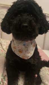 LENI